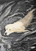 Moose - Stretched Canvas